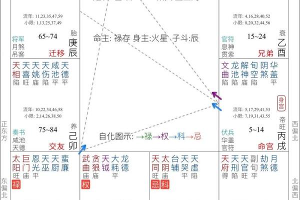 紫薇斗数能用吗