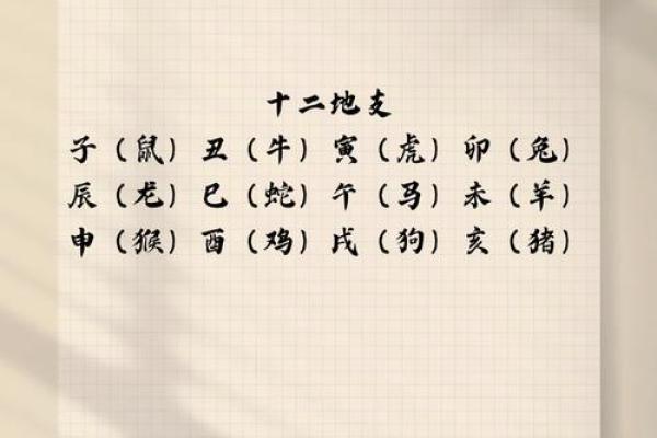 相冲的八字