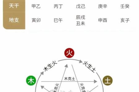 八字五行算命有什么作用