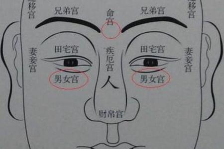 面相算命图解十二宫之：命宫
