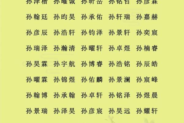 下午出生的属猴男孩起什么名，适合什么字姓名