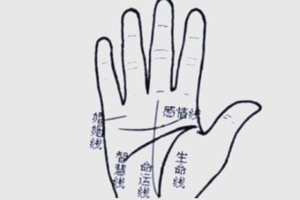 男人手上有9个斗的命运 手相算命