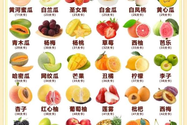十二星座水果