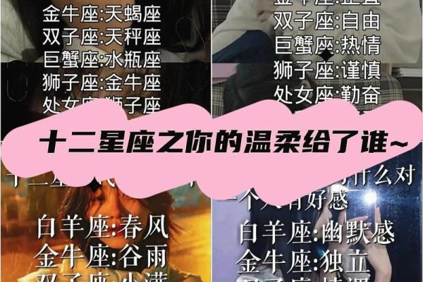 哪个星座最爱付出？排名前三的星座揭秘！