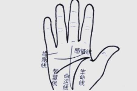 男人手上有9个斗的命运 手相算命