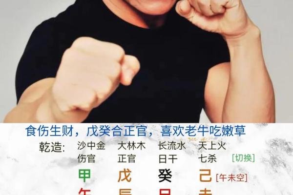 八字怎样看财官印食伤 八字怎样看财官印食伤