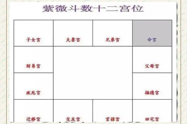 紫薇斗数怎么看主宫