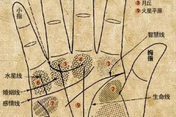 看手相算命：第六课 实际看