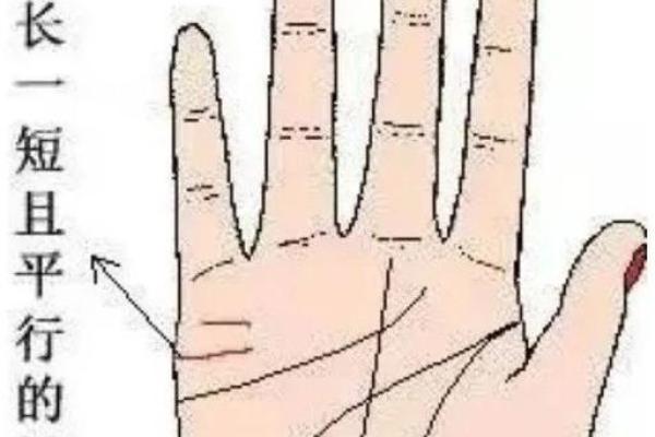 八字看婚姻线和命运线图解