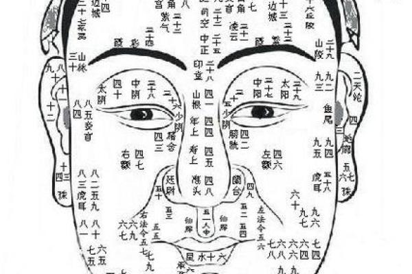 颧骨面相算命