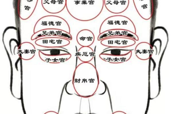 颧骨面相算命