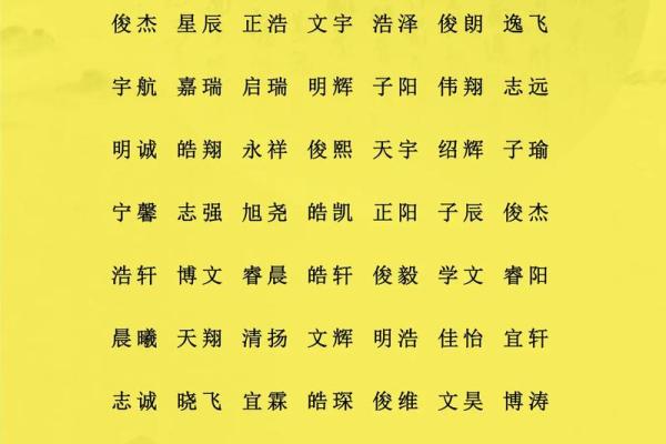 2月份出生的属猪男孩起什么名字好姓名