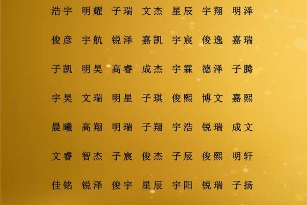 苗姓男孩名字大全-苗姓男孩起名字大全-苗姓名字大全姓名