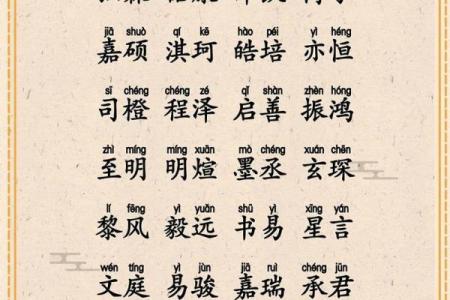 上午11点出生的属狗男孩怎么取名，用什么字好姓名