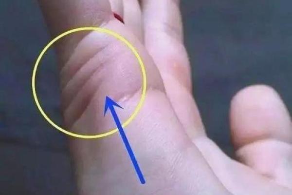 看手相算命：第二课 婚姻感情