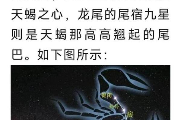 天蝎座需要哪个星座保护