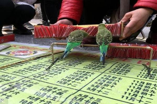 胶州算命的 胶州算命的