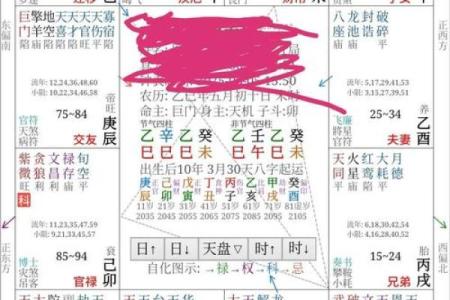 飞廉紫薇斗数流年