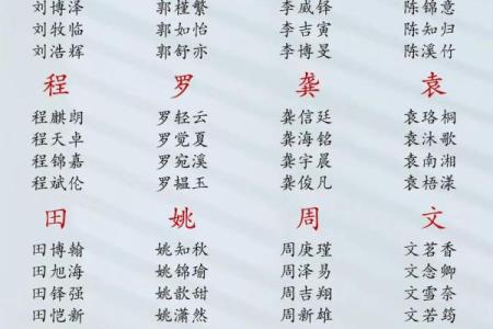 2019年6月18号卯时出生的男孩应该起什么样的名字姓名