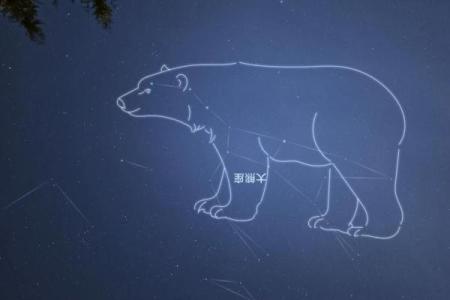 北斗七星的尾巴指向的是哪个星座