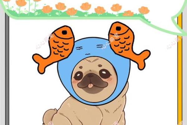 哪些狗狗属于你的星座？