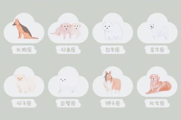 哪些狗狗属于你的星座？
