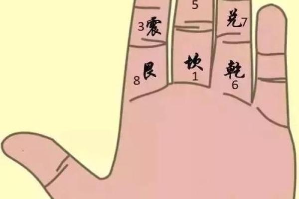 算命手掌,小六壬怎样算生辰八字