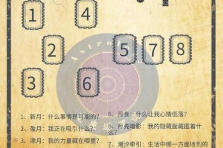 塔罗牌测试十一月学习运