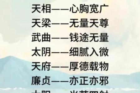 粤启明紫薇斗数