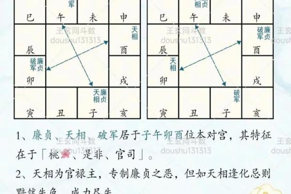 紫薇斗数不成命格