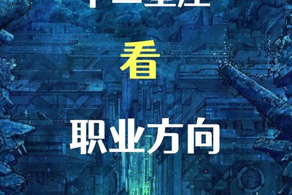12星座都适合干什么工作