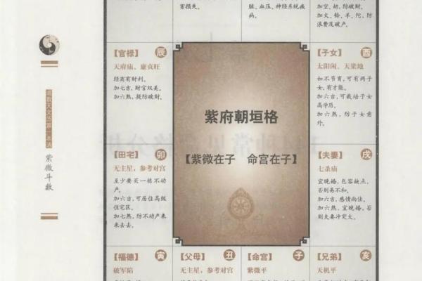 紫薇斗数北斗系列都是什么