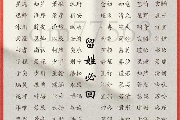 属龙辛时出生的男孩怎样起名，宜用什么字姓名