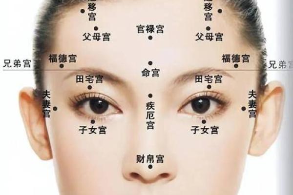 姚笛八字面相详解,命理特点揭秘 姚笛八字面相详解,命理特点揭秘