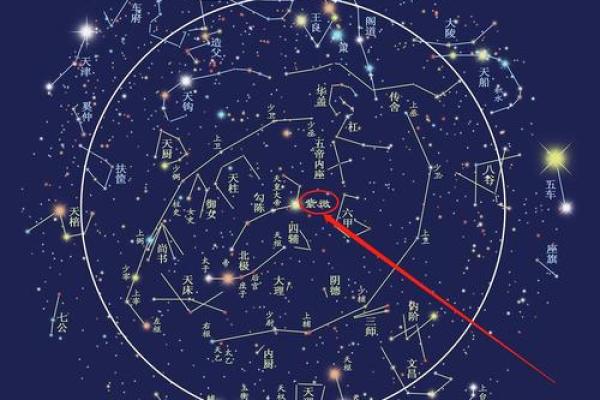 紫薇斗数有那么神奇吗 紫薇斗数有那么神奇吗