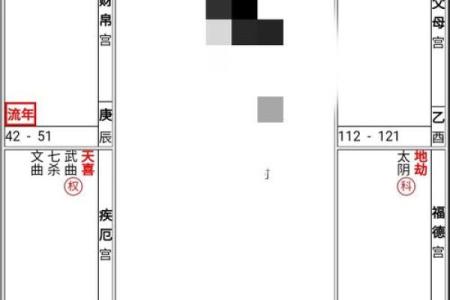 紫薇星盘命主破军