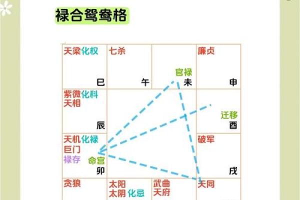 紫薇斗数命主禄存星