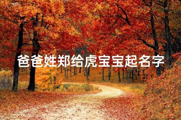 下午2点出生的属虎男孩起什么名，宜用什么字姓名