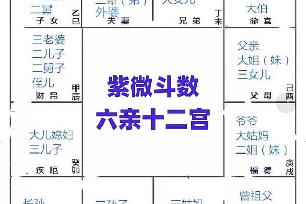 紫薇斗数看爷爷寿命