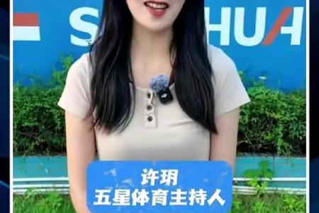 她只能作一名记者吗？紫微斗数实例解读