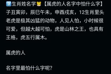 下午2点出生的属虎男孩起什么名，宜用什么字姓名