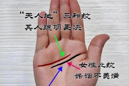 手相算命，从手相看你聪明度有多高？