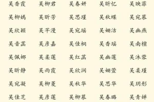 2019年出生的姓吴男孩如何起名，宜用什么字姓名