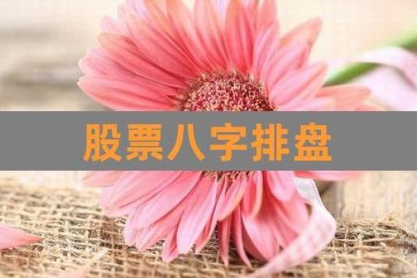 股票与八字