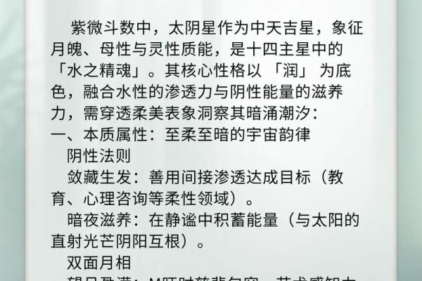 紫薇斗数一梦江湖太阴