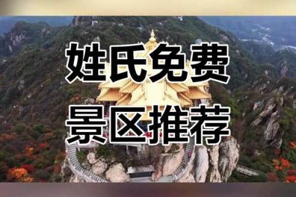 项姓女孩名字大全-项姓女孩起名字大全-项姓名字大全姓名