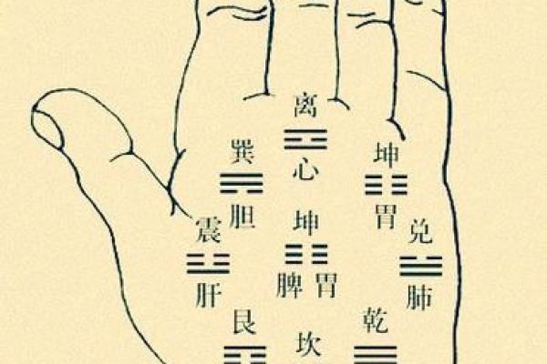 指纹算命,十个斗手指纹算命图解 指纹算命,十个斗手指纹算命图解