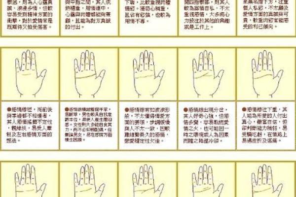 指纹算命,十个斗手指纹算命图解 指纹算命,十个斗手指纹算命图解