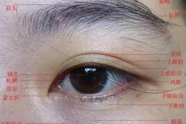 右眼睛下面长白毛算命 右眼睛下面长白毛算命