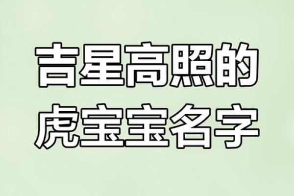 凌晨2点出生的属虎男孩如何起名,宜用什么字姓名 凌晨2点出生的属虎男孩如何起名,宜用什么字姓名